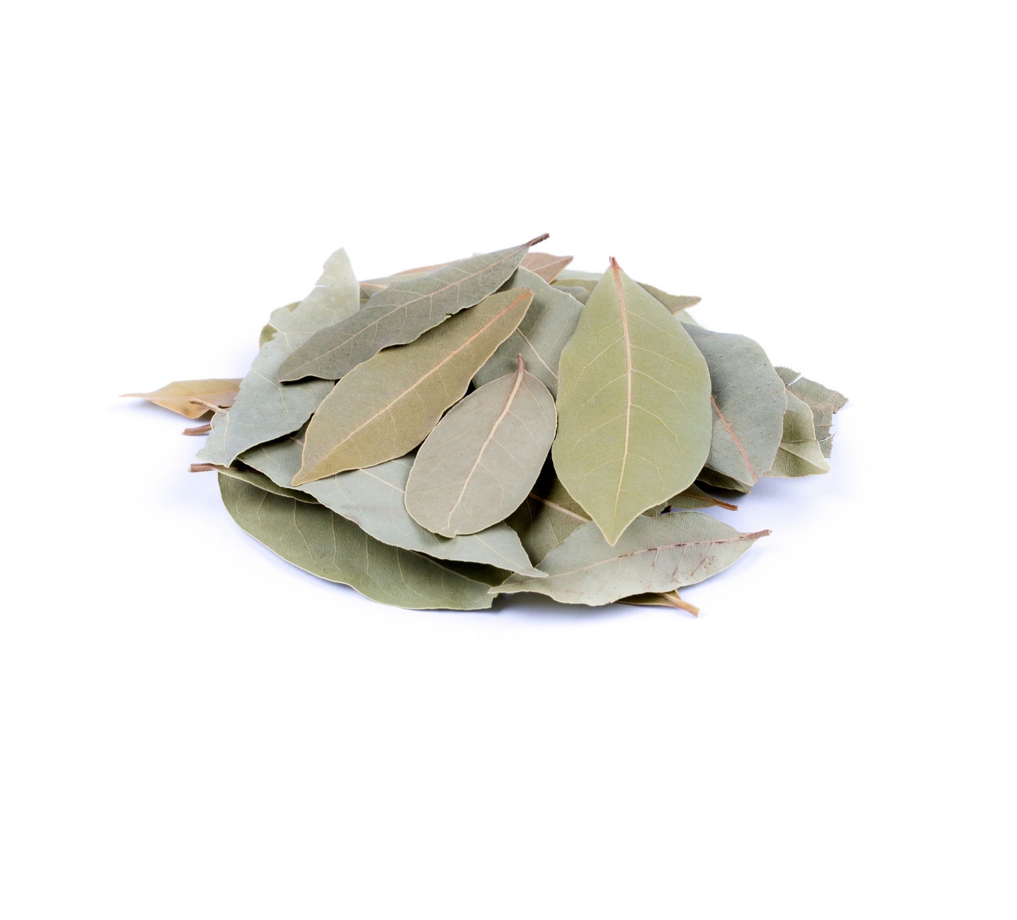 Whole dried Turkish laurel leaves
